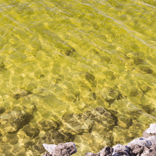 Lithium Brine Extraction Technology