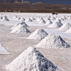 Salar Salt Stack (1)