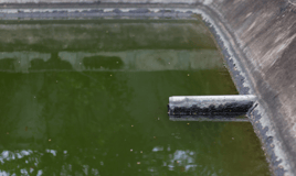 waste pond
