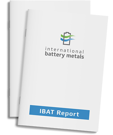 IBAT_report